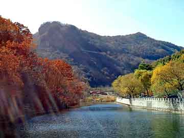 澳門(mén)一肖中100%期期準(zhǔn)47神槍,深入執(zhí)行計(jì)劃數(shù)據(jù)_DX版75.690